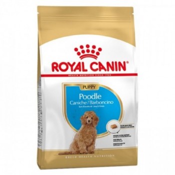 Royal Canin Poodle / Caniche Cão Puppy
