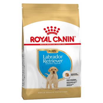 Royal Canin Labrador Retriever Cão Puppy