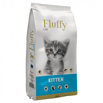 Fluffy Gato Kitten
