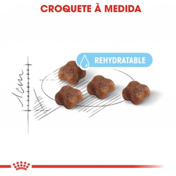 Royal Canin Mother And Babycat