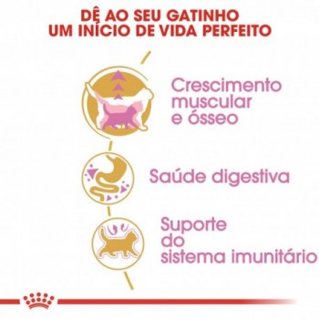 Royal Canin British Shorthair Gato Kitten