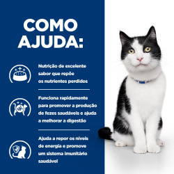 Hill'S PD Digestive Care I/D Kitten - Ração Seca Para Gatinho Com Problemas Digestivos