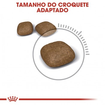 Royal Canin Urinary Care Gato Adulto