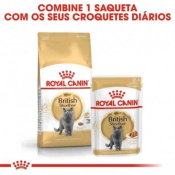 Ração Para Gato Royal Canin British Shorthair