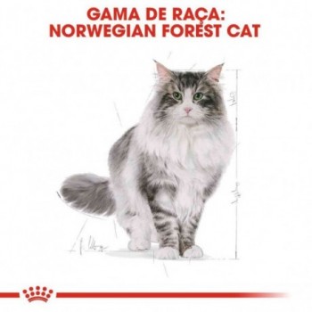Ração Para Gato Royal Canin Norwegian Forest