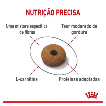 Royal Canin Appetite Control Gato Adulto