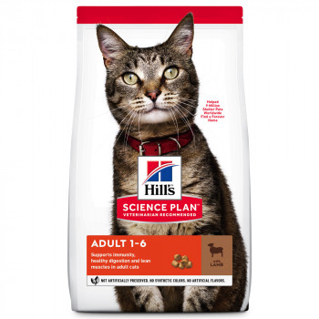 Hill'S Adult - Ração Seca Para Gato - Cordeiro