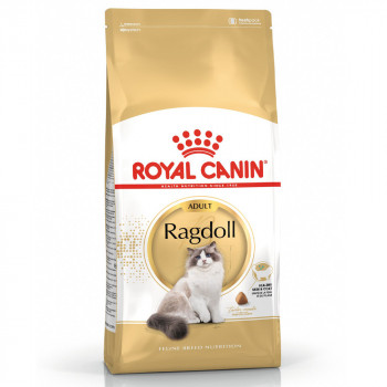 Royal Canin Ragdoll Adult - Ração Seca Gato De Raça