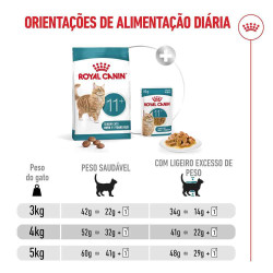 Royal Canin Ageing 11+ - Ração Seca Para Gato Com Mais De 11 Anos