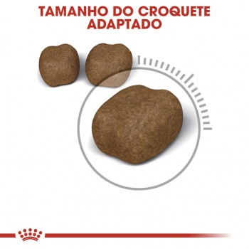 Ração Para Gato Royal Canin Oral Care