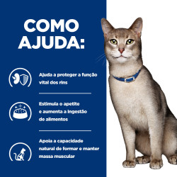 Hill'S PD Kidney Care K/D - Ração Seca Para Gato Para Suporte Da Saúde Renal - Salmão