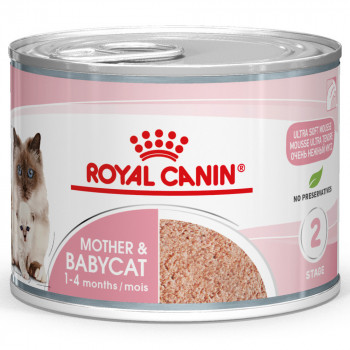 Royal Canin Wet Mother And Babycat - Ração Húmida Para Gato