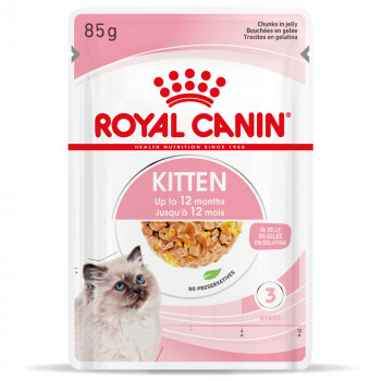 Royal Canin Kitten Em Gelatina