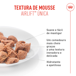 Royal Canin Care Appetite Control - Alimento Em Mousse Para Gato Para Controlo Do Apetite