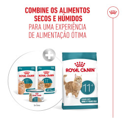 Royal Canin Ageing 11+ - Alimento Em Molho Para Gato Com Mais De 11 Anos