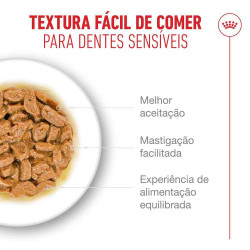Royal Canin Ageing 15+ - Alimento Em Molho Para Gato Com Mais De 15 Anos