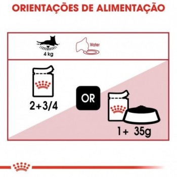 Royal Canin Instinctive Em Molho Gato Adulto
