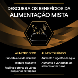 Pro Plan VD NF Renal Function Advanced Care - Alimento Em Molho Para Gato Com Doença Renal - Frango
