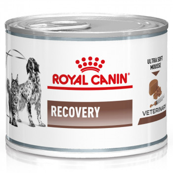 Royal Canin Recovery Húmida Para Cão E Gato