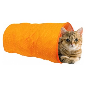 Túnel Para Gato