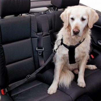 Cinto De Segurança Para Cão