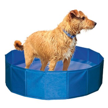 Piscina Para Cães