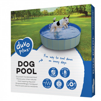 Piscina Para Cão